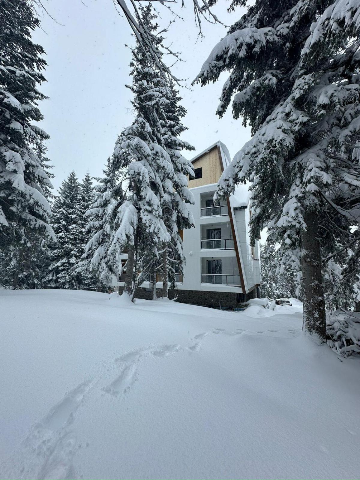 Forest Villa Goderdzi Exterior foto